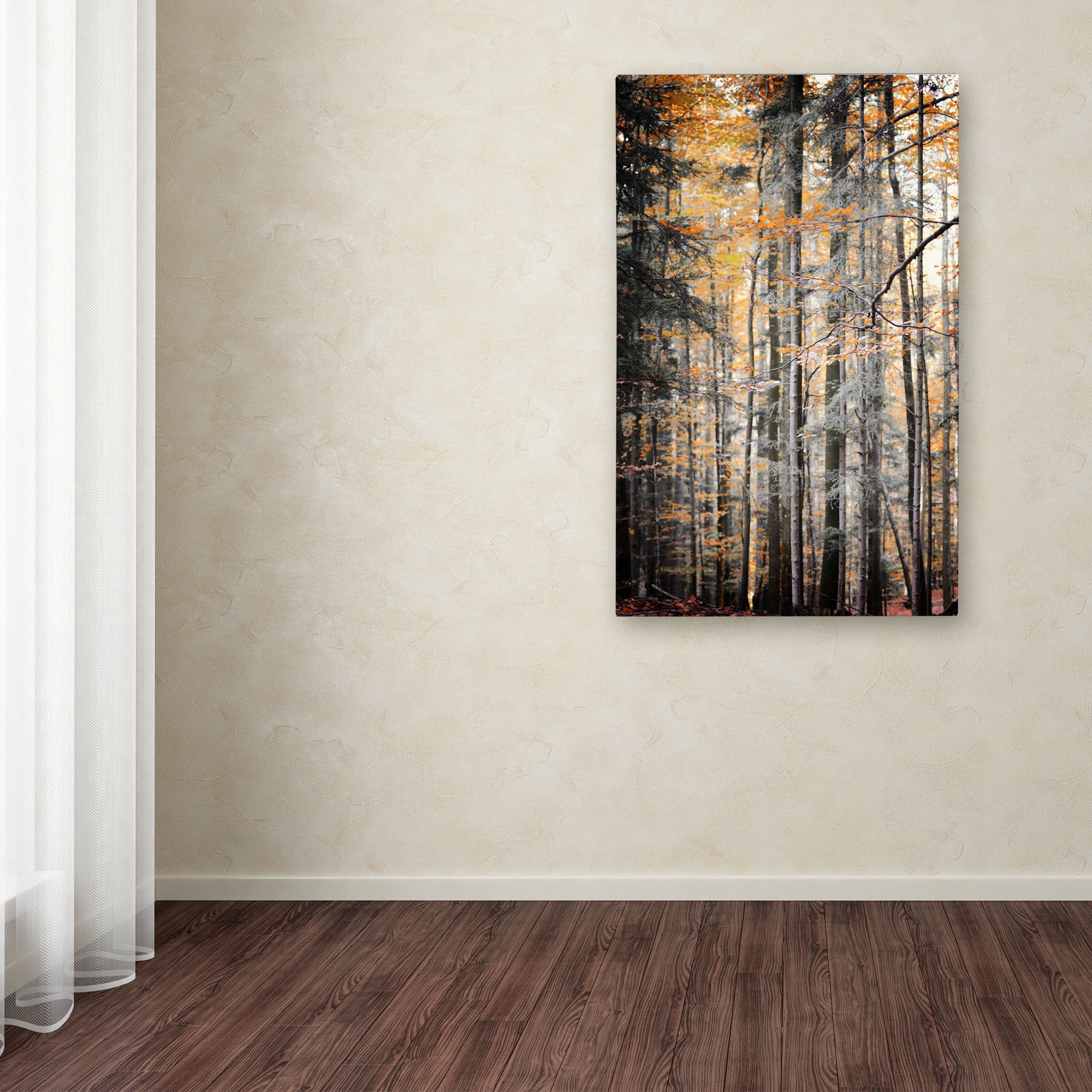 Trademark Fine Art "Autumn Tones" Canvas Art by Philippe Sainte-Laudy