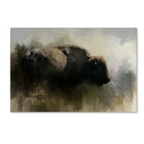 Trademark Fine Art Jai Johnson Abstract American Bison Canvas Wall Art - 12x19