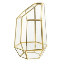 IDEANATEGRATE Small Glass Terrarium Terrarium Glass 1PC