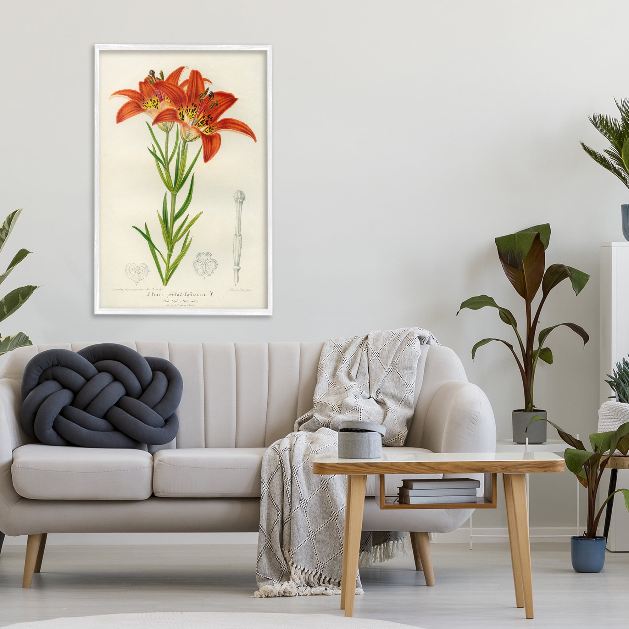 Stupell Industries Western Red Lily White Framed Giclee Art, design by Print Collection