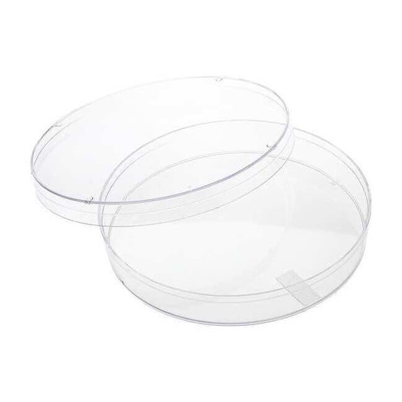 Petri Dish,Polystyrene,15mL,1 Well,PK500 229697
