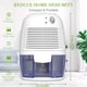 thumbnail image 5 of Inteprter Enchufe de EE. UU. Mini deshumidificador Secador de aire portátil Refrigeración eléctrica con tanque de agua de 500M Accesorios para electrodomésticos Inteprter HA004399-00B, 5 of 6