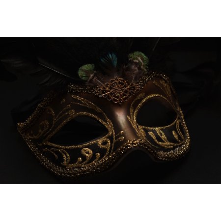 Framed Art for Your Wall Mask Close Black Carnival Venice Mysterious Cute 10x13 Frame