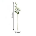 Efavormart Pack of 2 38" Cream Silk Long Stem Roses, Artificial Flowers ...