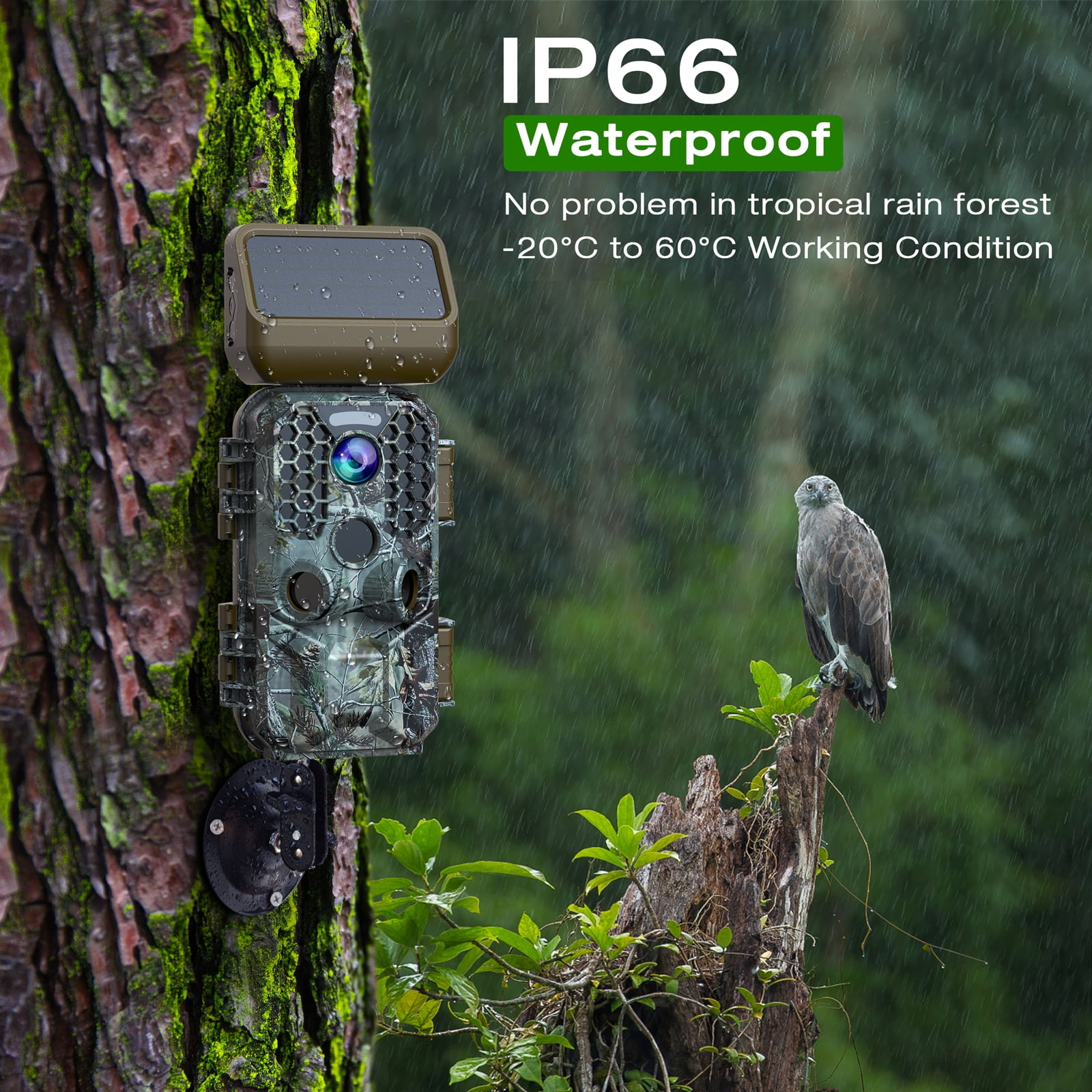 CAMPARK Solar Powered Trail Camera Native 4K 30fps WiFi Bluetooth 30MP Game Camera with Night Vision Waterproof IP66 Motion Activated 120° Wide Angle Hunting Deer Trail Cam for Wildlife Monitoring