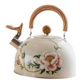 thumbnail image 1 of Induction cooker Electric kettle Teapot with large capacity Camping kettle 26s, 1 of 5