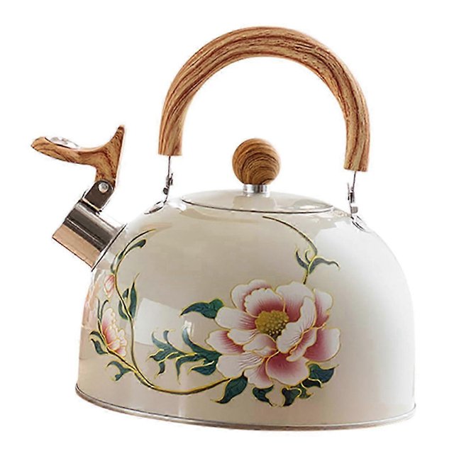Induction cooker Electric kettle Teapot with large capacity Camping kettle 26s