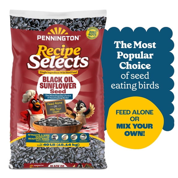 Pennington Recipe Selects Black Oil Sunflower Seed Dry Wild Bird Feed, Bird Food, 40 lb. Bag