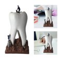 thumbnail image 1 of de modelo de diente simple 9x18 cm arte de resina artesanal escultura decorativa estatua de para colecciones de decoración de oficina Baoblaze Estatua de los dientes, 1 of 8