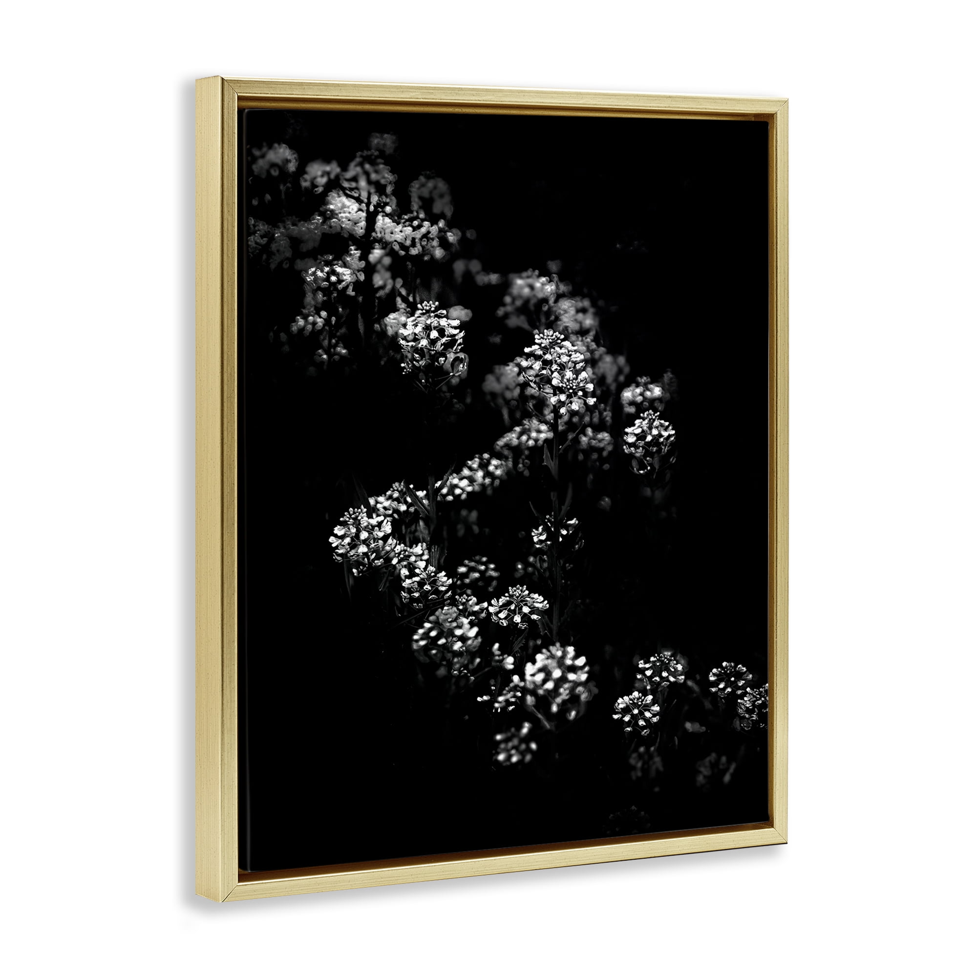 Stupell Industries Curved Blossom Line Plants & Flowers Photography Gold Floater Framed Canvas Art Print Wall Art, 17 x 21