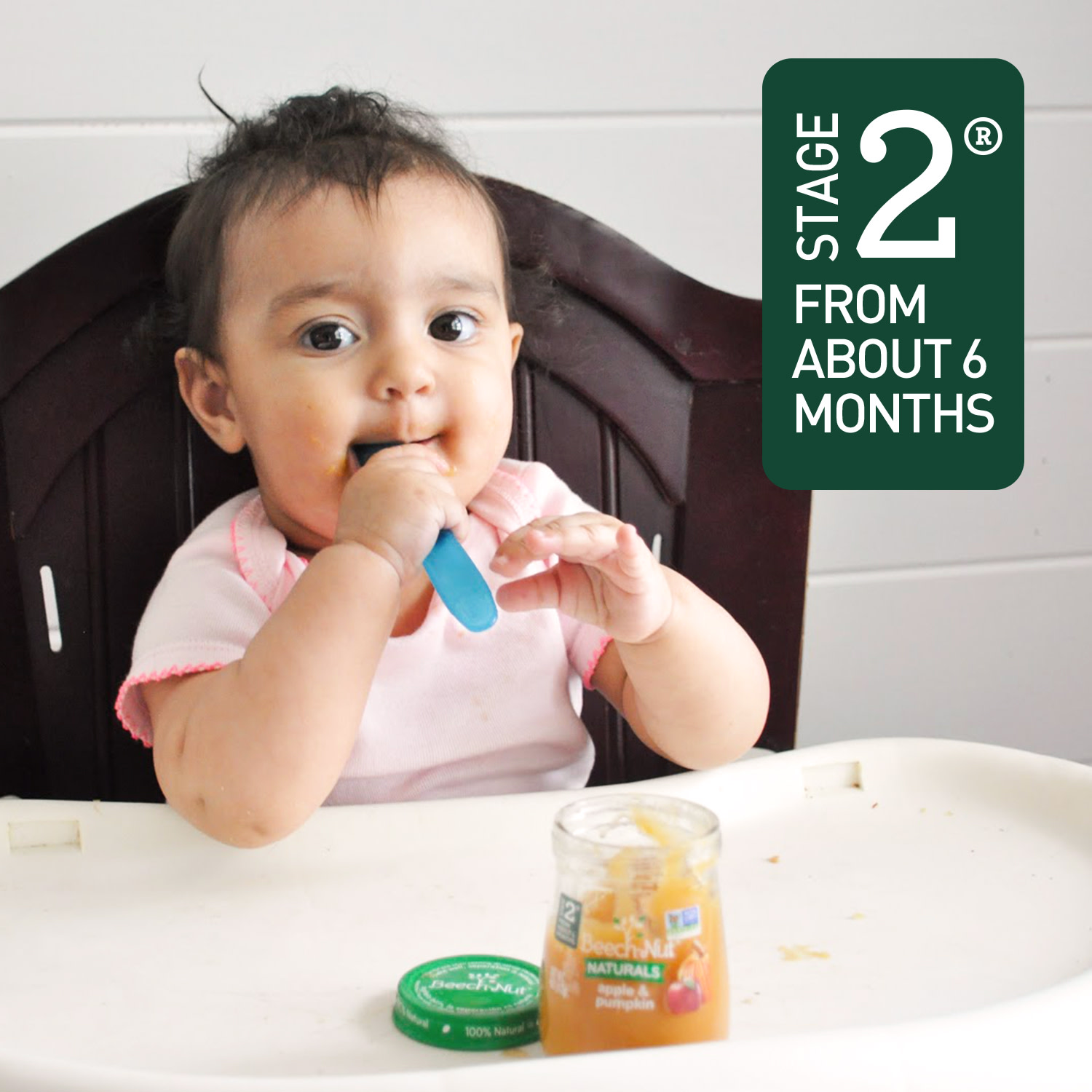 Beech-Nut Veggies Stage 2 Baby Food Variety Pack, 3.5 oz Pouch (9 Pack) - image 3 of 3