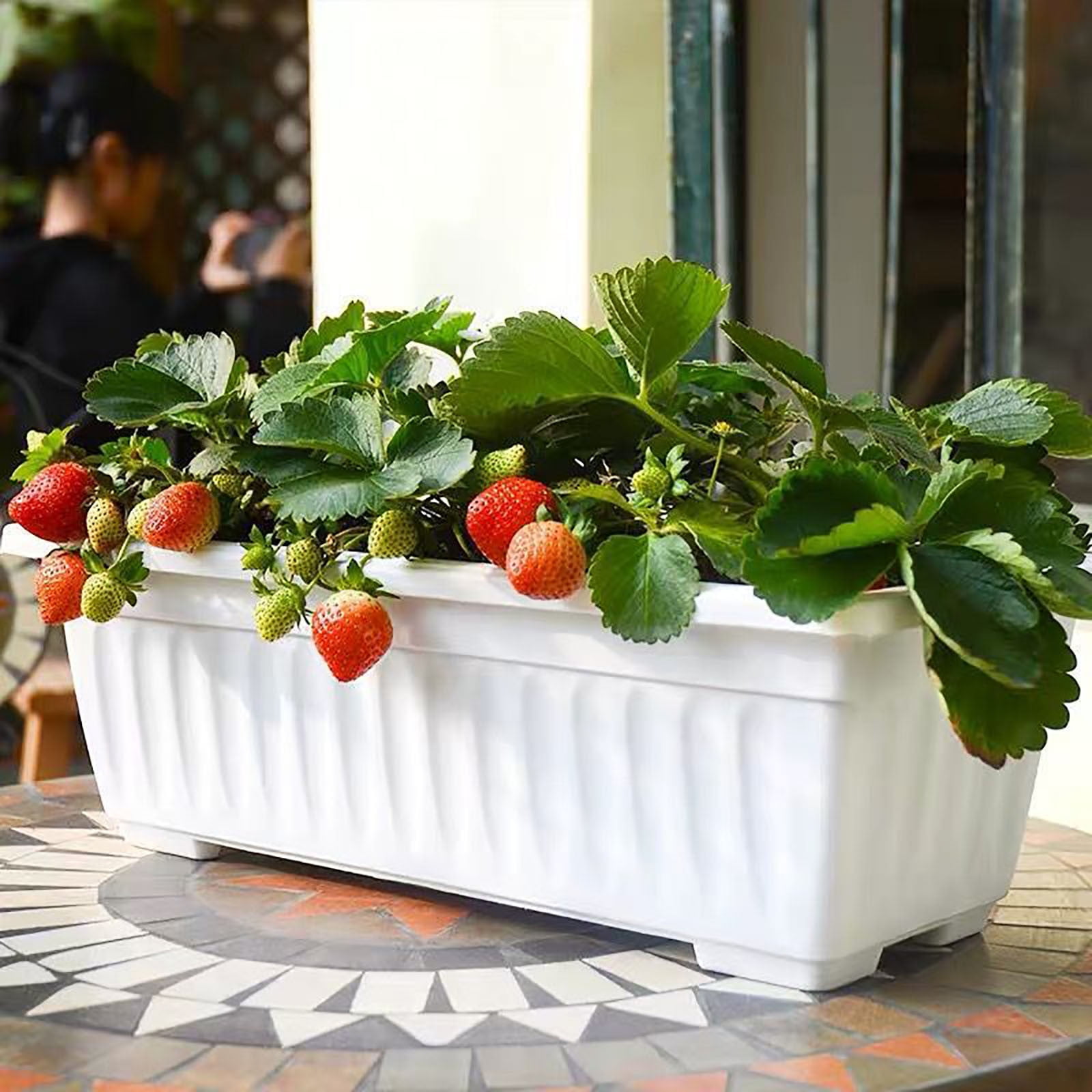 Extra Large Window Box Planter - 17 Inch Rectangular Vegetable & Flower Pot with Tray - Indoor/Outdoor Planters for Balcony, Patio, Windowsill Gardening & Home Decor