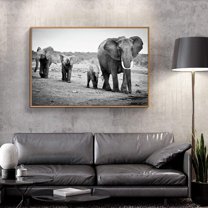 wall26 Floating Framed Canvas Wall Art for Living Room, Bedroom Black and White Wild Animal Canvas Prints for Home Decoration Ready to Hang - 16x24 inches