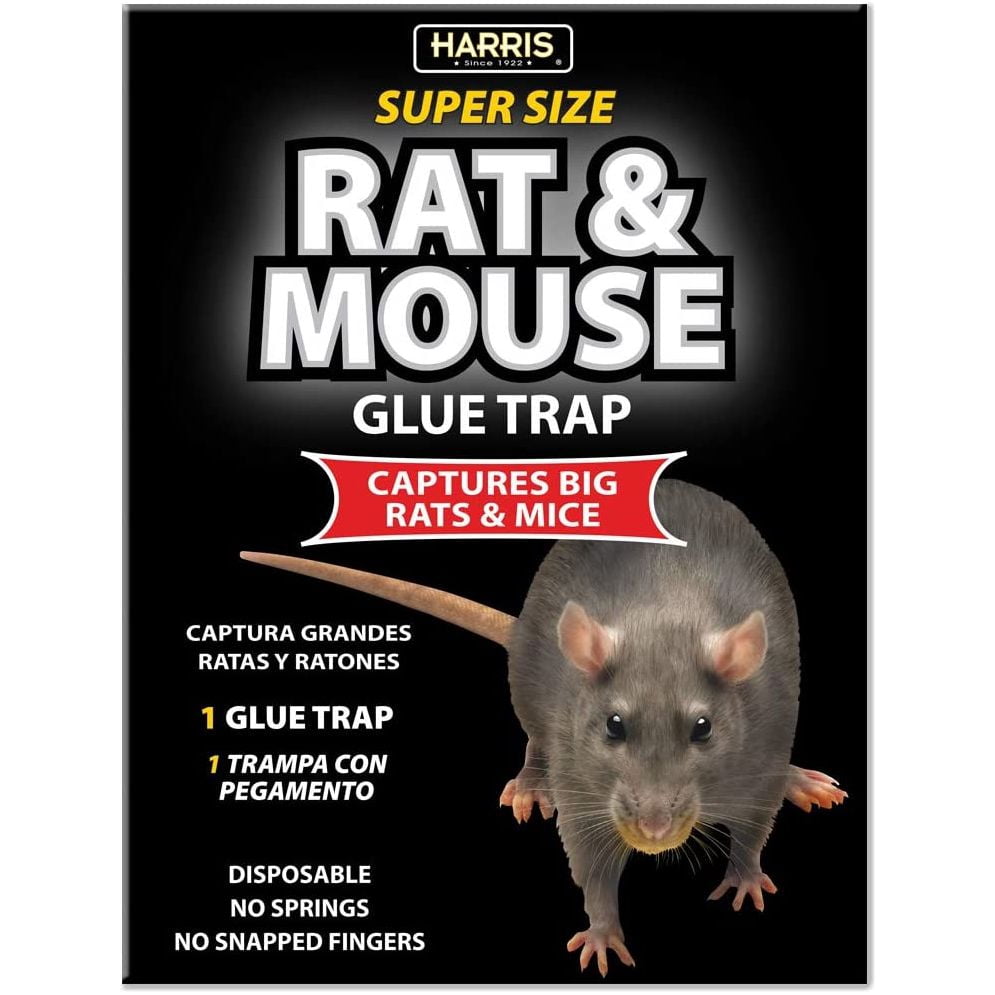 Harris Super Size Rat and Mouse Glue Trap, Extra Large Surface, Non Toxic, Ready to Use, No Bait Required 3PCK