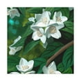 thumbnail image 1 of Jasmine's Flowering Soul - Canvas, 1 of 10