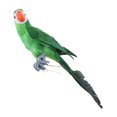 thumbnail image 3 of Figura decorativa realista de loro de resina para valla de jardín 45cm, 3 of 7