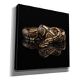 thumbnail image 2 of Epic Graffiti 'Twisted' by Epic Portfolio Giclee Canvas Wall Art, 12"x12", 2 of 8