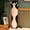 black, variant on Cute Long Cat Plush Body Pillow, Soft Polyester Stuffed Animal Throw Cushion, Ergonomic Sleeping Hugging Pillow, 50‑70cm, for Bed Sofa Decor, Birthday Holiday Gift for Kids & Adults