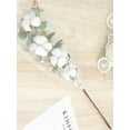 thumbnail image 3 of 1Pc/5Pcs Artificial Dried Cotton Flower with Eucalyptus Leaves for Wedding Party Home Decoration, 3 of 6