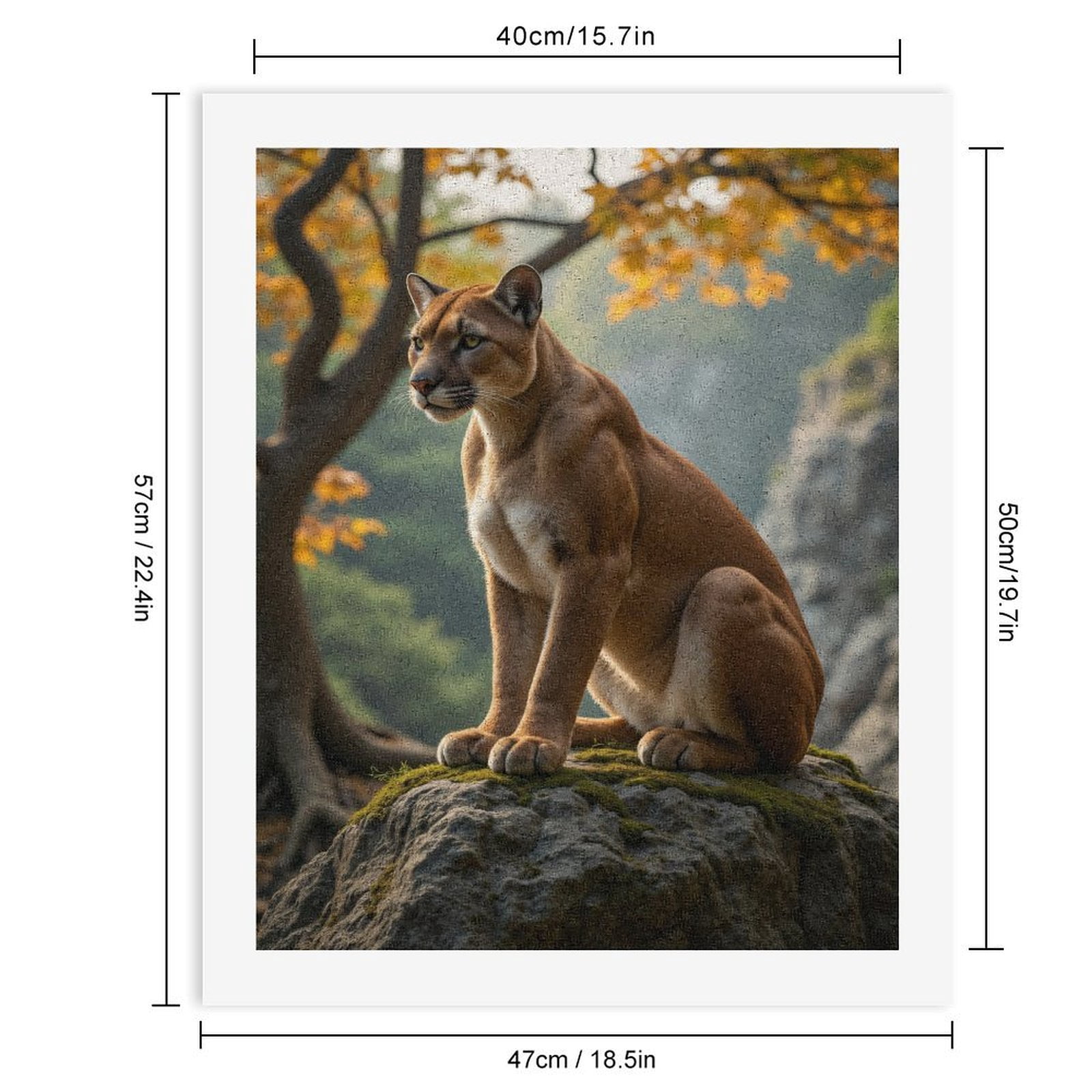 Paint by Numbers Kit for Adults, Elegant Cougar Autumn Rock Vista Paint by Numbers, Easy Paint by Numbers Kit for Adults Beginner, DIY Adult Paint by Number Kits on Canvas, 12x16in Home Decor