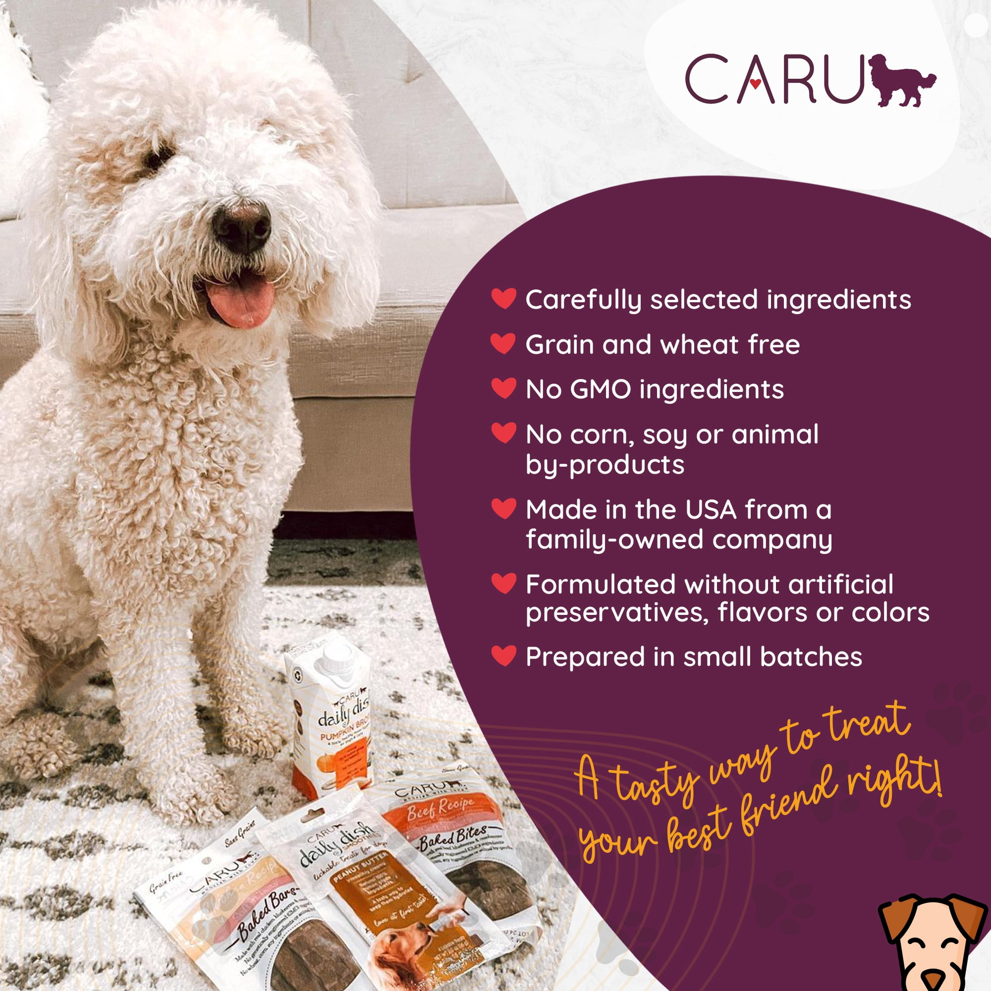 Caru Soft 'n Tasty Wild Boar Recipe Baked Bites Dog Treats, 3.75 Oz.
