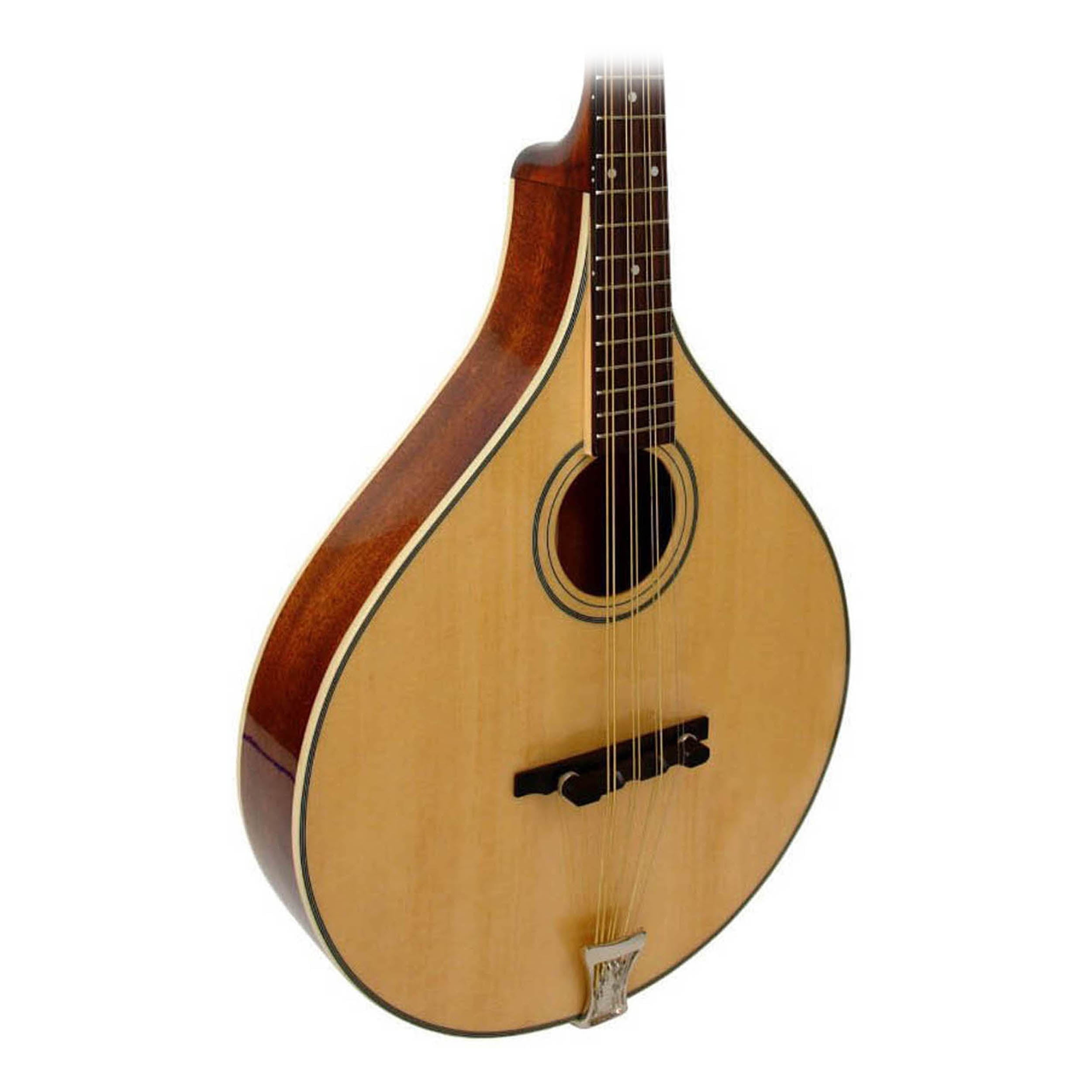 Gold Tone OM800 Octave Mandolin (Mahogany)