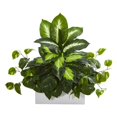 thumbnail image 1 of Nearly Natural 8262 Golden Dieffenbachia & Pothos Artificial Plant, 1 of 1