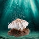 thumbnail image 4 of Decoración de concha de acuario artificial Zulema piedra de aire resina, 4 of 8