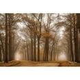 thumbnail image 3 of Podt, Martin 24x17 Black Modern Framed Museum Art Print Titled - Split, 3 of 5