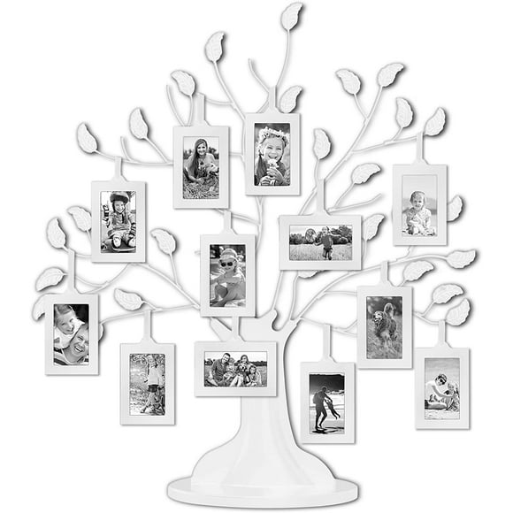 Family Tree Picture Frames