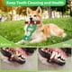 thumbnail image 4 of Juguete para Perro Homounter, Juguete Squeaky para Juego de Tira y Afloja para Perros Pequeños, Medianos y Grandes, 4 of 7