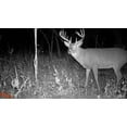 thumbnail image 4 of Wildgame Innovations DRT Extreme Caméra de Jeu IR 8MP Combo 2 Pack, 4 of 4