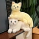 thumbnail image 3 of Gray 30cm Lifelike British Shorthair Cat Plush Toys Cute Stuffed Simulation 3-color Cat Animal Doll Children Home Decor Baby Gift, 3 of 4