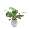 thumbnail image 1 of Cuenca de cemento de simulación, hoja de rábano verde, hoja trasera de tortuga, planta en maceta, decoración para el hogar, sala de estar, escritorio, decoración de plantas verdes, 1 of 5