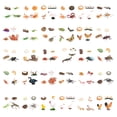 thumbnail image 4 of Bewildely 1 Juego de modelo de gusano de pala, Material plástico Premium, figuritas de insectos significativas, modelos de crecimiento educativo temprano Juguetes Educativos tarántula NO26 Bewildely FN010083-26, 4 of 6