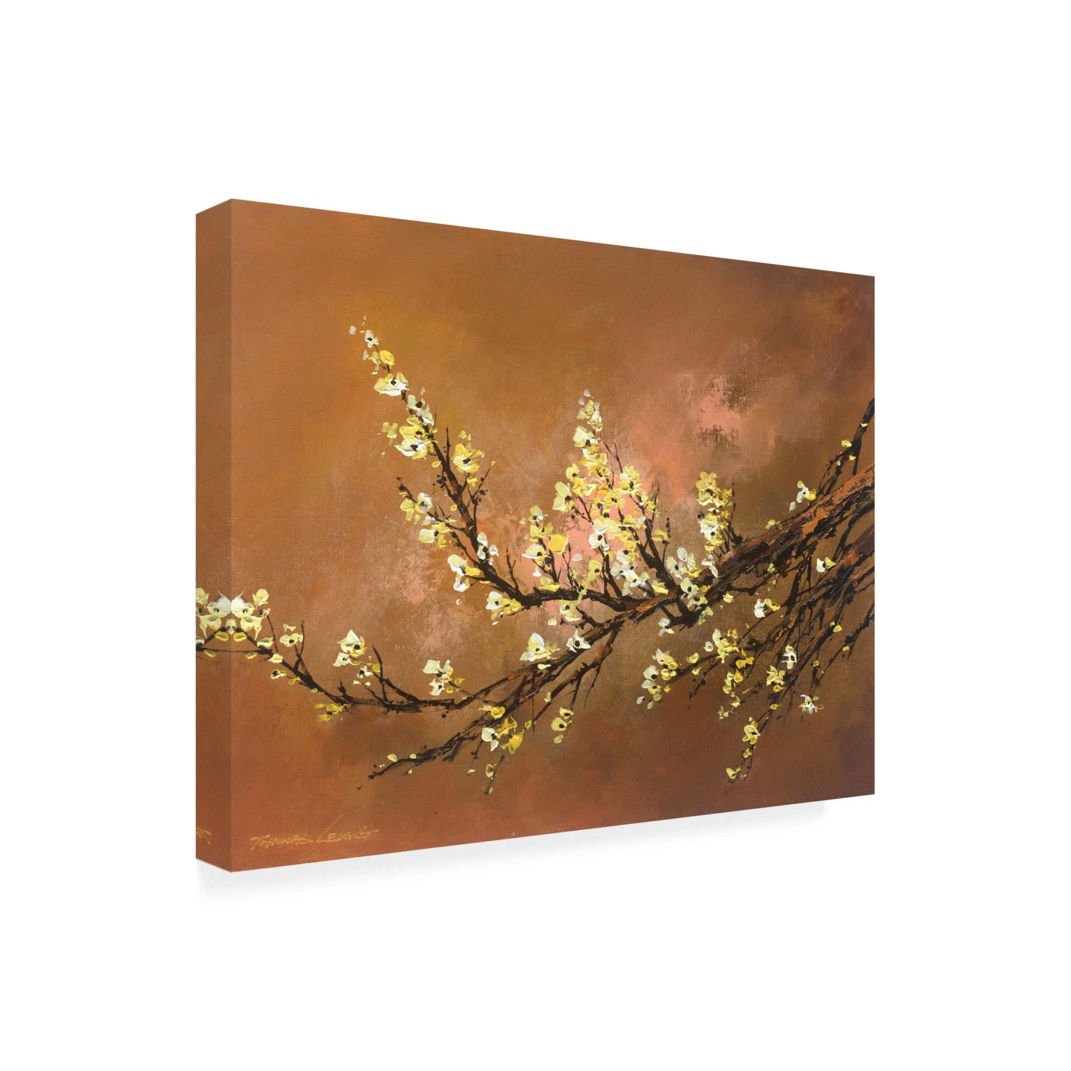 Canvas Wall Art - Thomas Leung 'Yellow Plum Blossom 2' Wall Art for Living Room, Bedroom, or Office Décor by Trademark Fine Art - 24 x 18 Inches