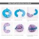 thumbnail image 4 of Zaleonline 8 Stück Pompom Maker 4 Größen Bommel Maker zum Basteln Fluff Ball Weaver Kit Bommelmacher Bommelschablone Fluff Kugel DIY Nadel Handwerk Toolkit para Kinder Erwachsene Ormromra LKX-1289, 4 of 8