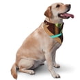 thumbnail image 2 of Lsque Scooby-Doo Printing Dog Bandana ,Cat Scarf Adjustable Bib Handkerchief Accessories for Dogs Cats,Pet scarf,Pet fashion, 2 of 8
