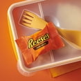 thumbnail image 5 of Reese's Milk Chocolate Peanut Butter Cup Snack Size Bar 12-Pack, 6.6 oz, 5 of 7