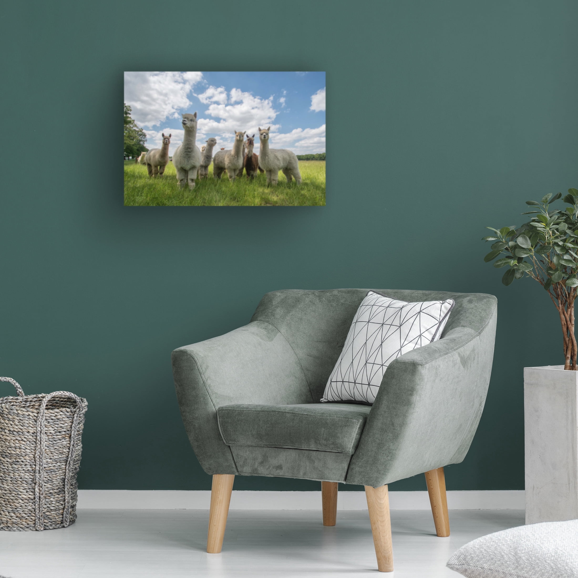 Canvas Wall Art - Gert Van Den 'Send In The Alpacas' Wall Art for Living Room, Bedroom, or Office D?cor by Trademark Fine Art - 19 x 12 Inches