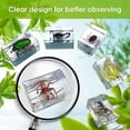 thumbnail image 2 of 11pcs Resin Insect Specimens, Insect Paper Weight, Resin Real Insects, Various Insect Specimens(free Shipping), 2 of 5