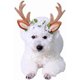 thumbnail image 1 of Disfraz de gato, diadema navideña, cuernos de reno, tocado para gatos y perros con flores para gatos y perros pequeños, 1 of 6