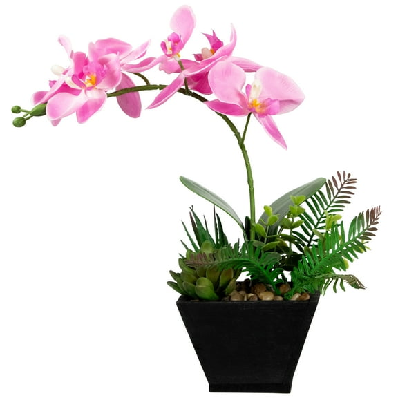 Northlight 13" Orchid with Succulent Artificial Potted Plant - Pink