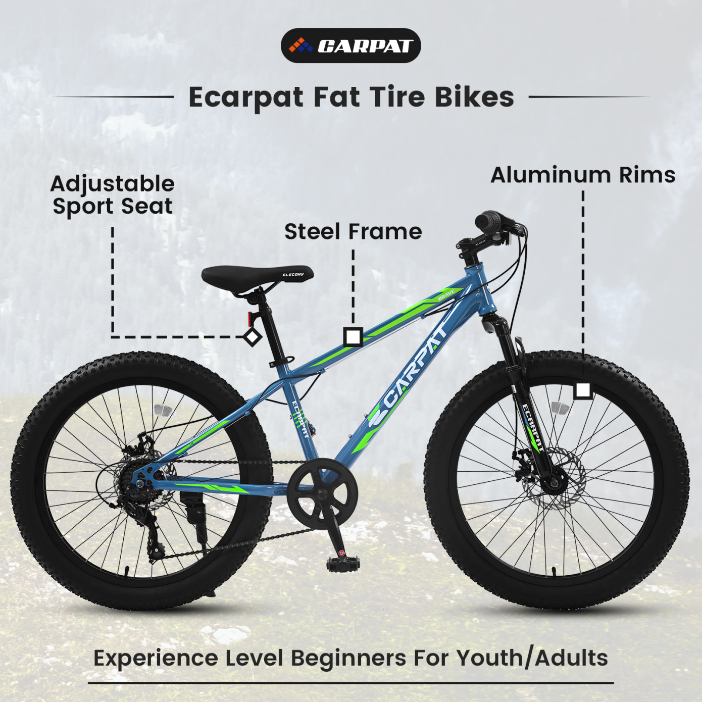 Fat Tire Mountain Bike with Dual Disc Brake, 21 Speeds High-Carbon Steel Frame Bike with Front Suspension, Adult Sport Bicycle for Men and Women, Blue and Green