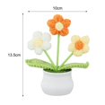 thumbnail image 3 of Bgsha Handwoven Wool Crochet Puff Flower Pot: A Timeless,Low-maintenance Home Decor!, 3 of 10