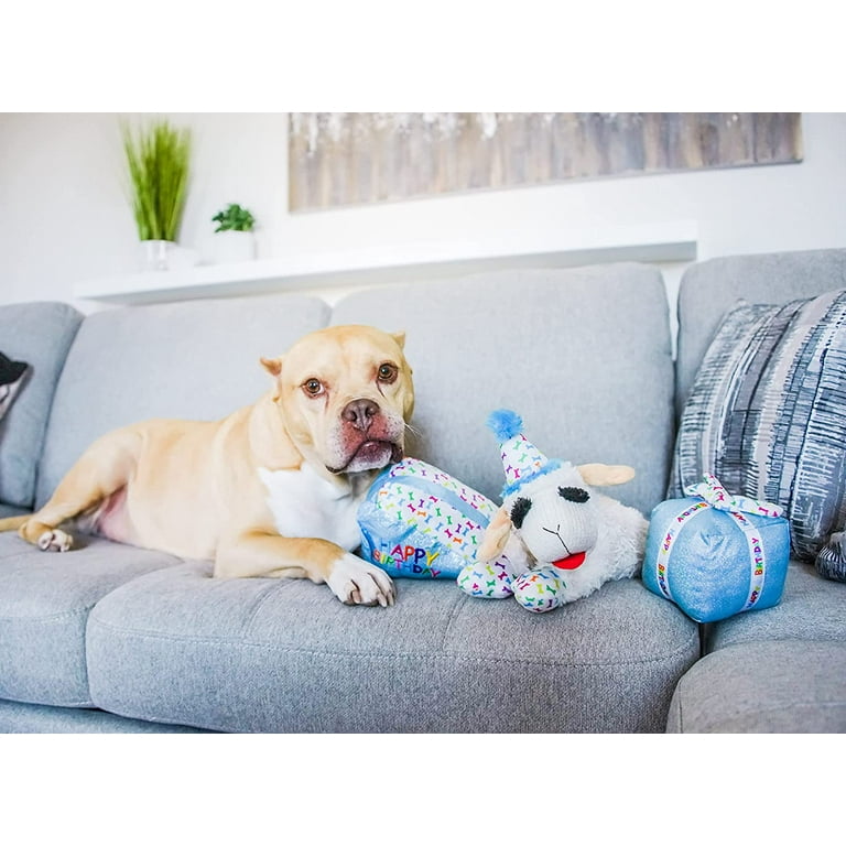 Multipet Lamb Chop Plush Dog Toy, Blue Party Hat, Squeaker, 10.5