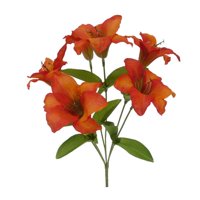 Lily Bush Or