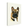 thumbnail image 2 of Trademark Fine Art 'Gidget' Canvas Art by Patsy Ducklow, 2 of 3