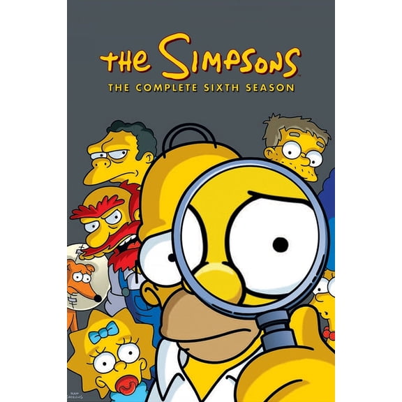 The Simpsons: The complete Season 6 DVD