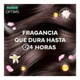 thumbnail image 2 of Shampoo Palmolive Optims Nivel 3 Acondicionamiento Intensivo con Vital Keratina Cabello con un Brillo de Alto Impacto
700 ml, 2 of 4